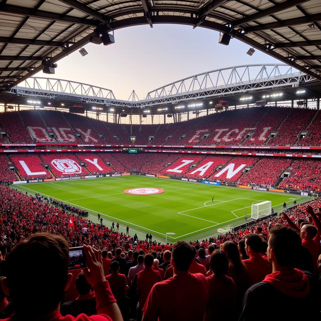 Fans Leverkusen Stadion