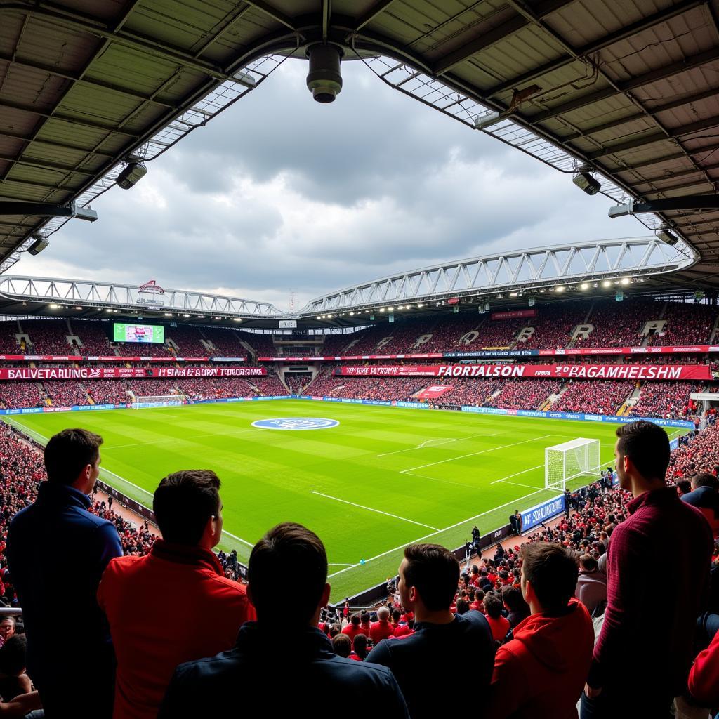 Fans unterstützen Bayer 04 Leverkusen in der Krise