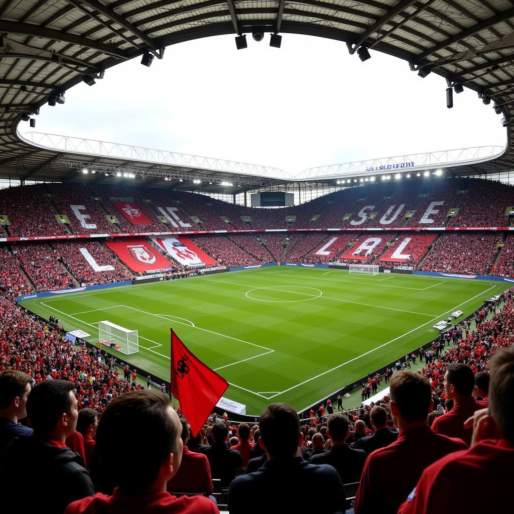 Fans im Stadion: Saarbrücken vs. Leverkusen