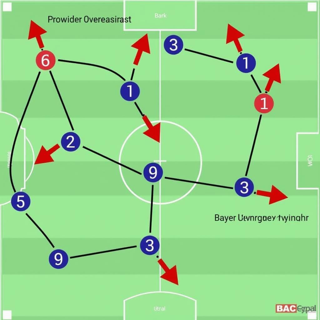 Taktiktafel mit möglichen Formationen von Bayer Leverkusen und SC Freiburg.