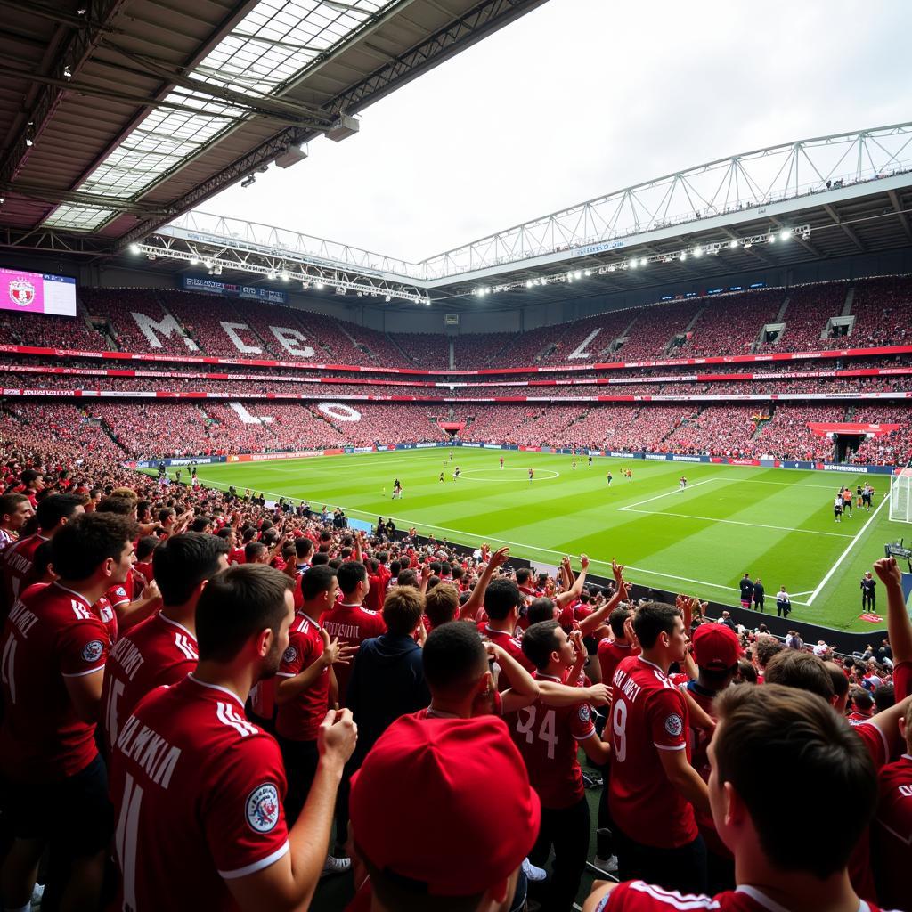 Bayer Leverkusen Fans im Stadion mit Fanartikeln