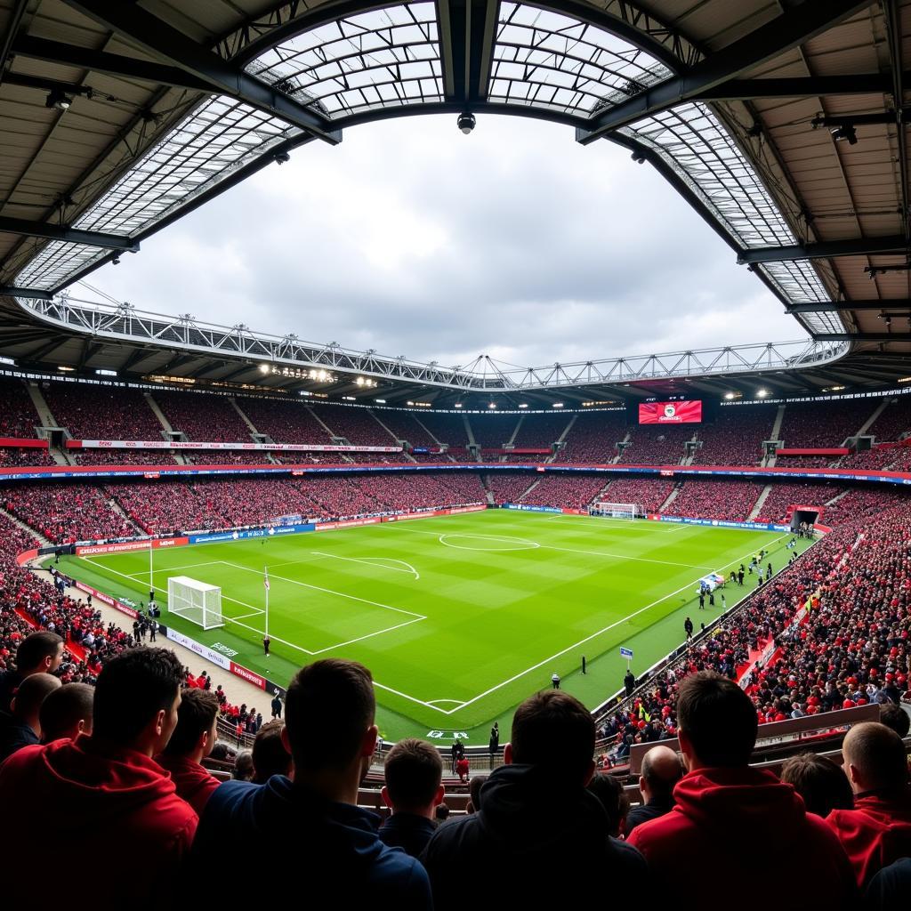 Die BayArena: Heimspielstätte von Bayer 04 Leverkusen