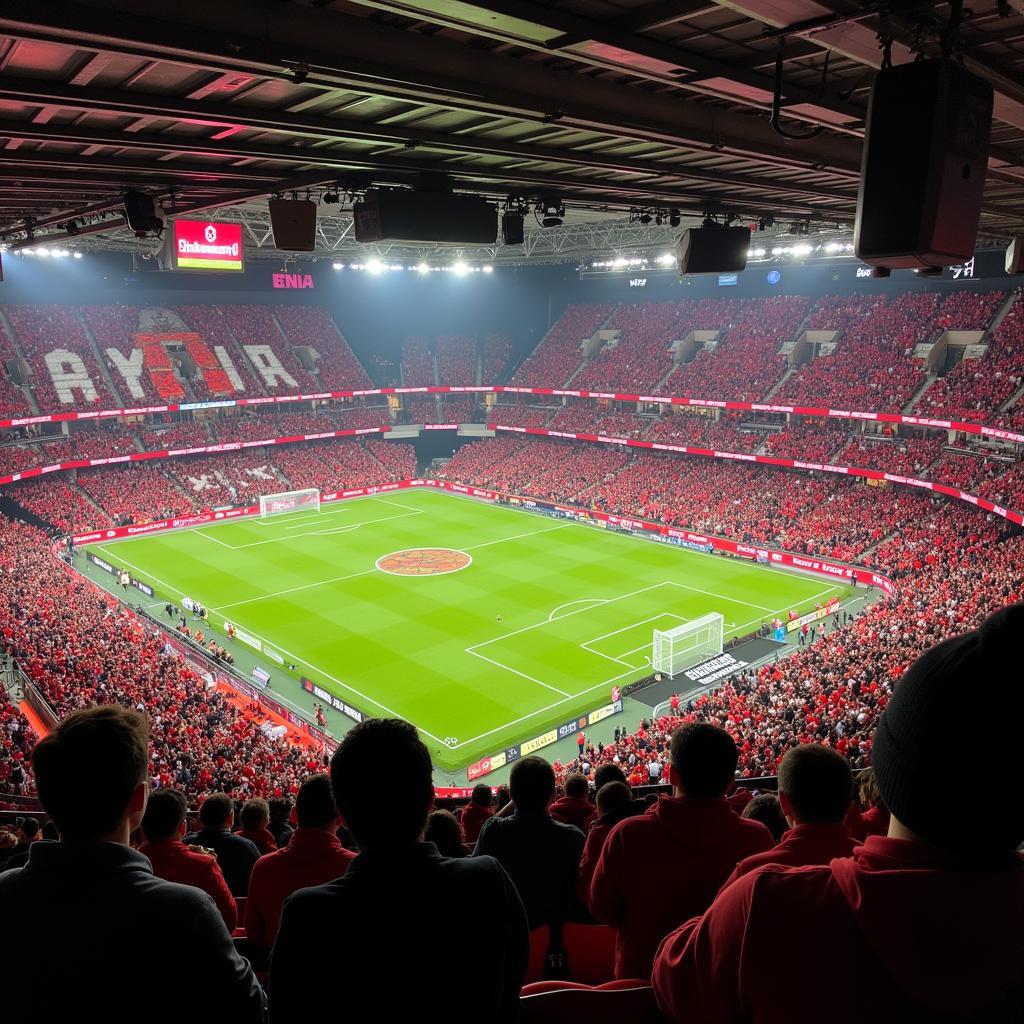 Bayer Leverkusen Fans in der BayArena