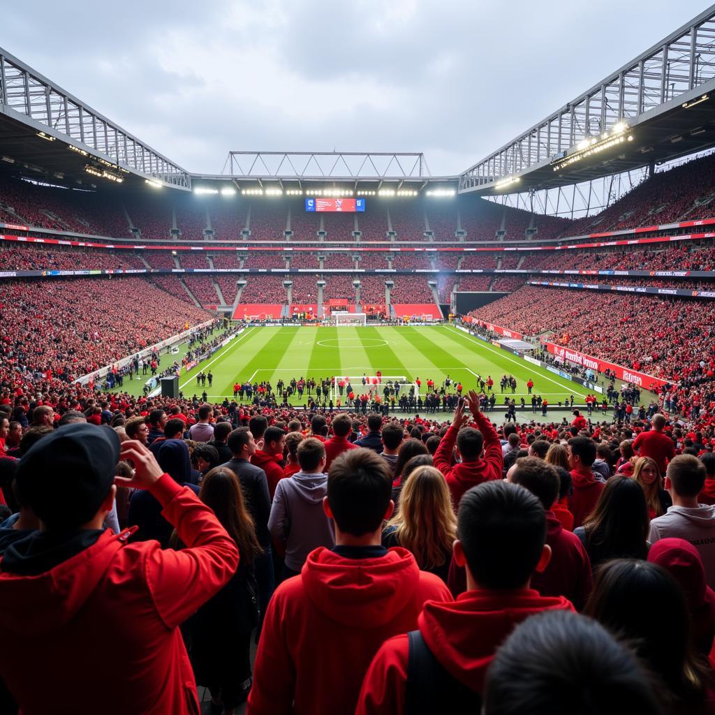 Fans an der BayArena Leverkusen