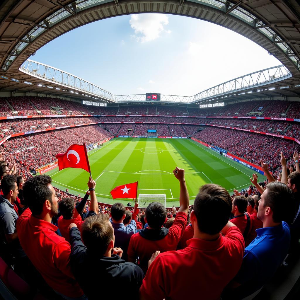 Fans beim Spiel Leverkusen gegen Bergamo