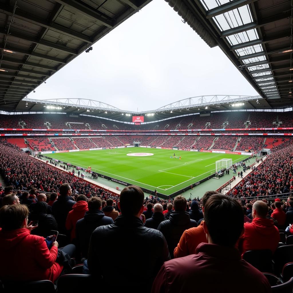 Wetterbedingungen im Stadion am 17. November 2018 in Leverkusen